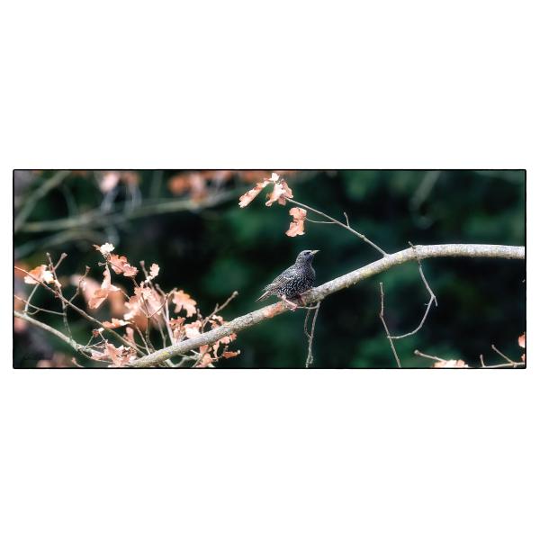 PHOTO84, CLUB, 84 , LUBERON